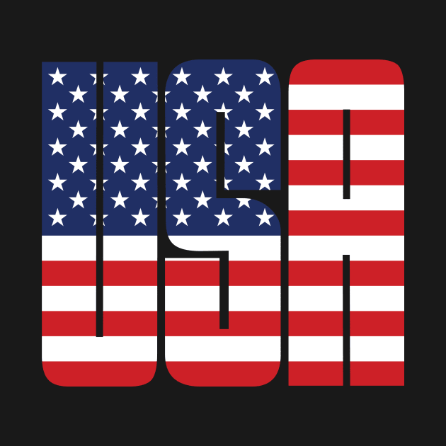 USA American Flag by crony713