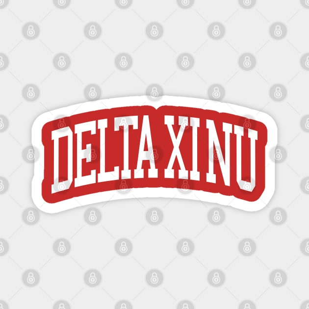 Delta Xi Nu Graphic Magnet by XiHoneyMerch