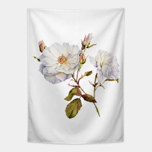 Watercolor botanical vintage Floral minimalist print- wild rose Tapestry