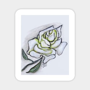 Stunning White Rose Magnet