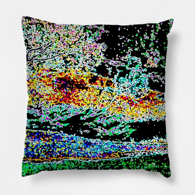 Day to Night Pillow by BlakCircleGirl