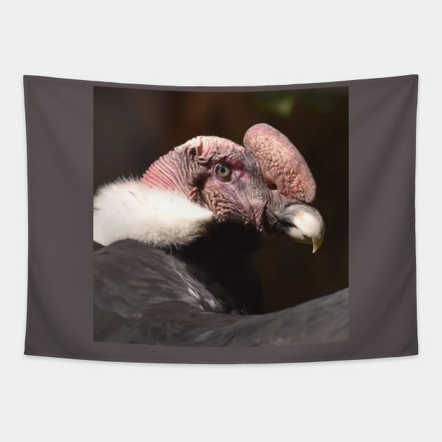 Andean Condor Tapestry by Sharonzoolady