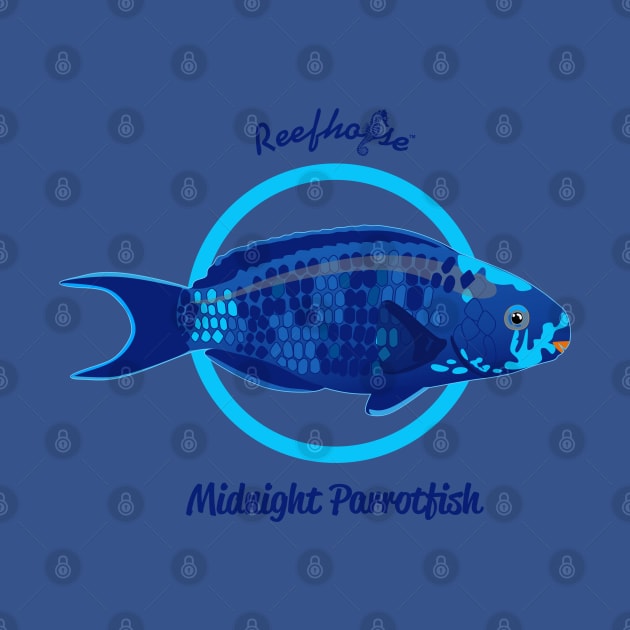 Midnight Parrotfish by Reefhorse