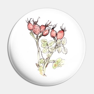 Watercolour Rosehips Pin