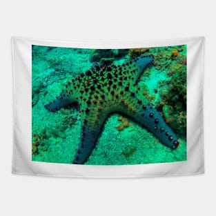 Chocolate Chip Sea Star Tapestry