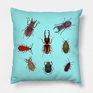 Beetles and bugs set colour Pillow