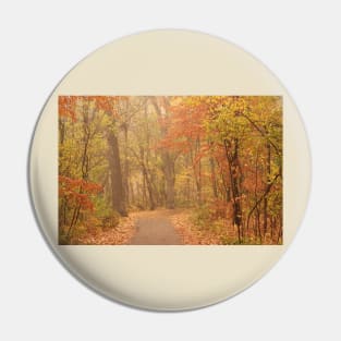 Quiet Autumn Path - Minnehaha Creek - Minneapolis, Minnesota Pin