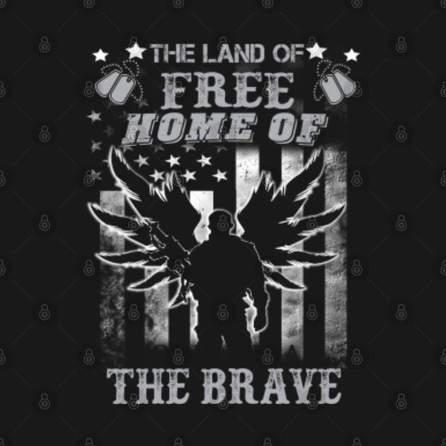 land of the free home of the brave johnny casg land of the free home of the brave johnny casg
