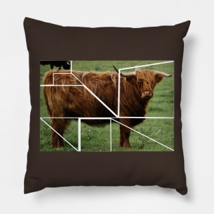 Brown Scottish Highland Cow Pillow