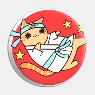 Karate Cat Pin