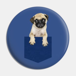 Pug in a pocket Pin
