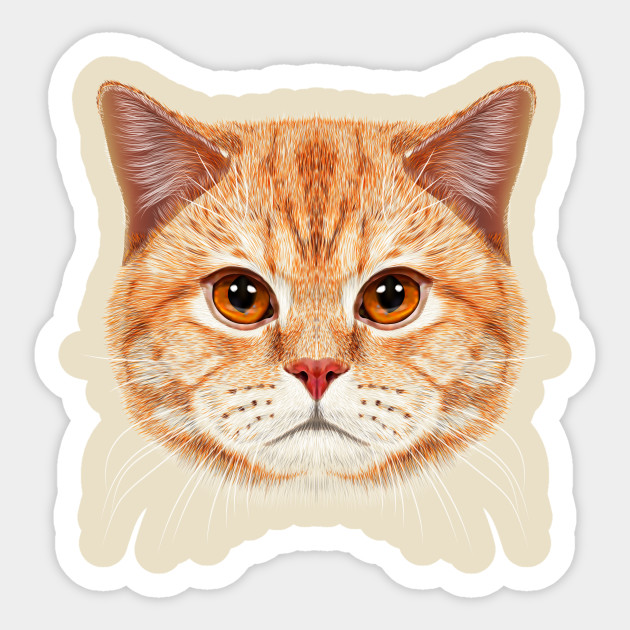 Orange Tabby Cats Face Orange Tabby Cat Sticker Teepublic Uk