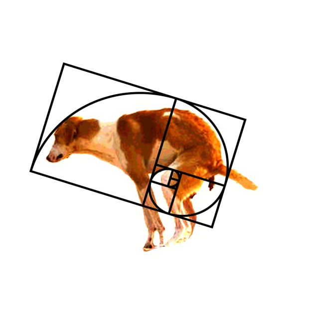 FIbonacci golden ratio dog by Spascucci