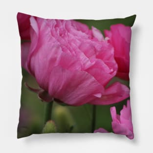 Closeup Deep Peony Pink Ranunculus Pillow