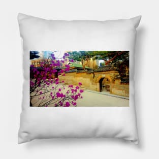 Seoul - Azalea in bloom Pillow