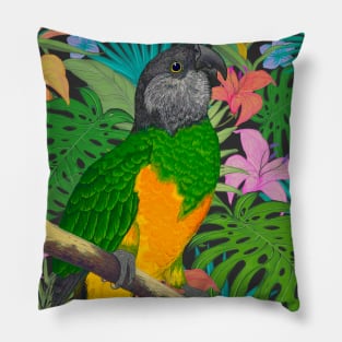 Senegal Parrot Tropical Design Pillow