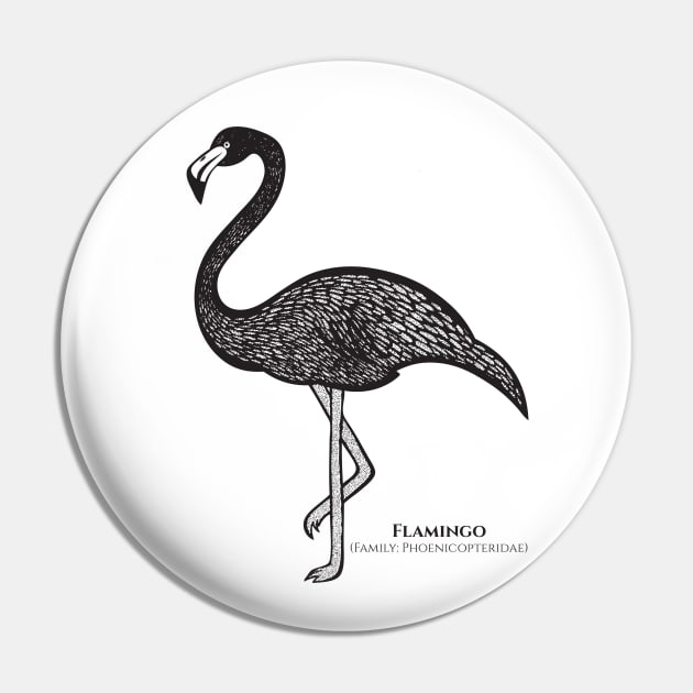 Flamingo with Common and Latin Names - detailed ink art bird design Pin by Green Paladin