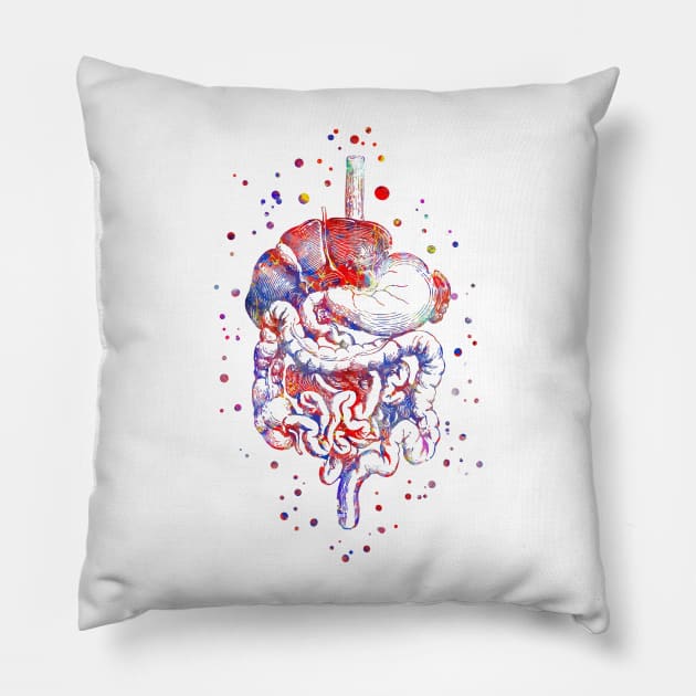 Digestive system Pillow by RosaliArt