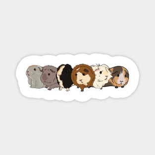 Cartoon Guinea Pig Group Magnet