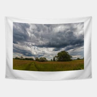 Stormy cloudscape over meadow Tapestry