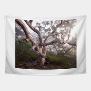 Tangled Branches Tapestry