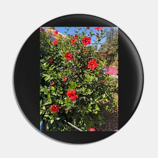 Red Flowers Pin
