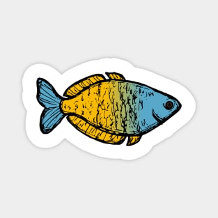 Rainbowfish - freshwater aquarium fish Magnet