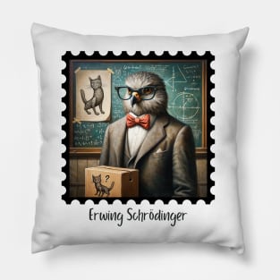 Erwing Schrödinger Pillow