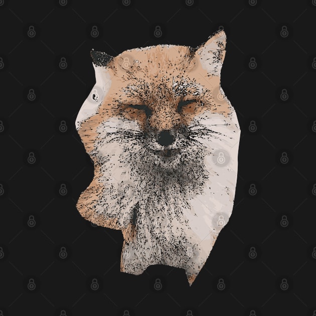 FOX CUTE FACE BEAUTIFUL DRAWING by ONSTROPHE DESIGNS