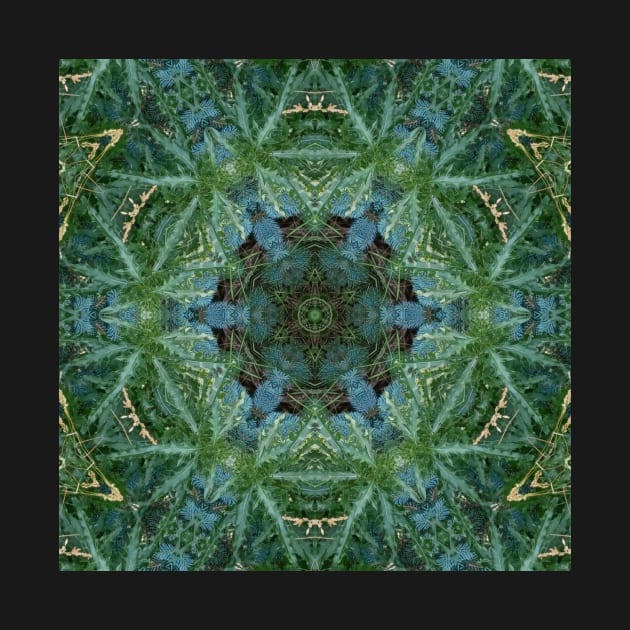 744L Unique Blue Green Colorful Abstract Nature Mandala Photo by Unique Black White Colorful Abstract Art