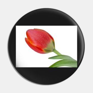 Single Tulip Pin