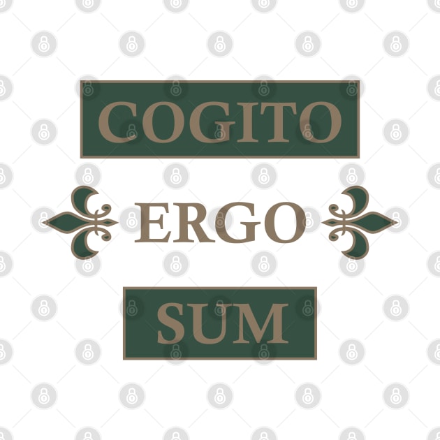 cogito ergo sum by omitay