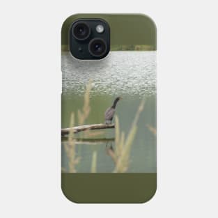 Double Crested Cormorant #2 Phone Case