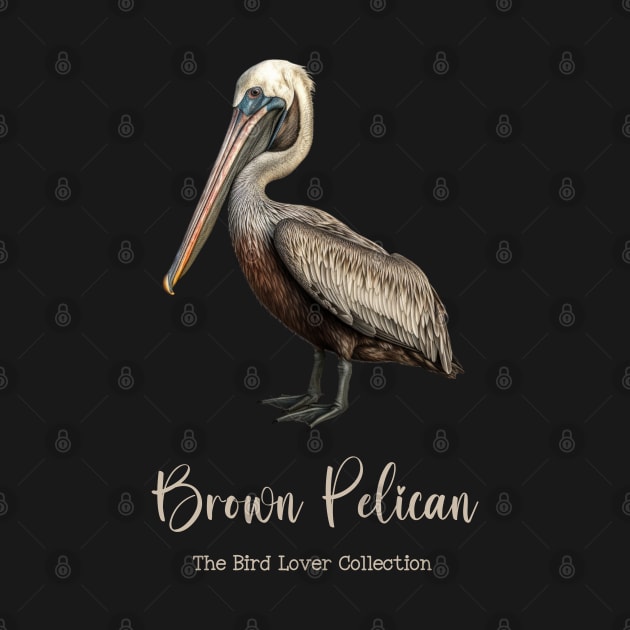 Brown Pelican - The Bird Lover Collection by goodoldvintage