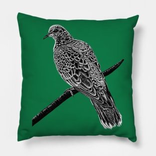 European turtle dove Pillow