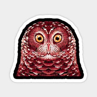 Owl Magnet