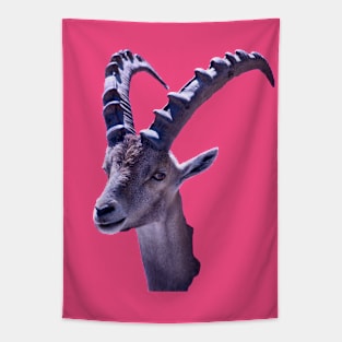 Capricorn Tapestry