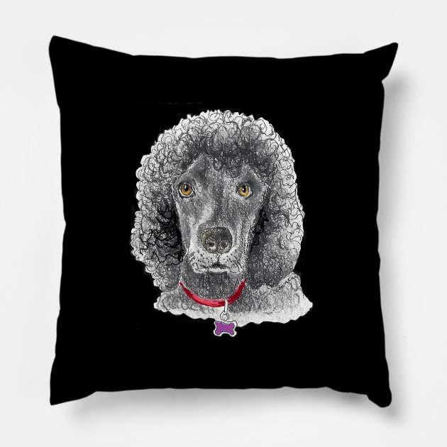 Spencer Pillow by Dr. Mary