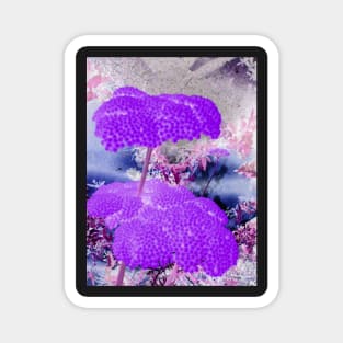 Purple Yarrow-Available As Art Prints-Mugs,Cases,Duvets,T Shirts,Stickers,etc Magnet