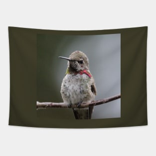 Hummingbird upclose Tapestry