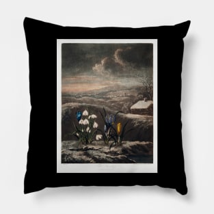 The snowdrops Pillow