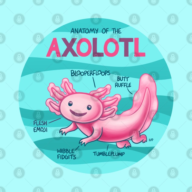 Anatomy of the Axolotl by lupi