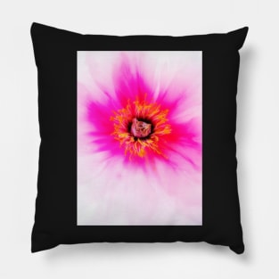 Flashy Flower Explosion Pillow