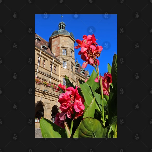 Flowers in Rothenburg od Tauber by Bierman9