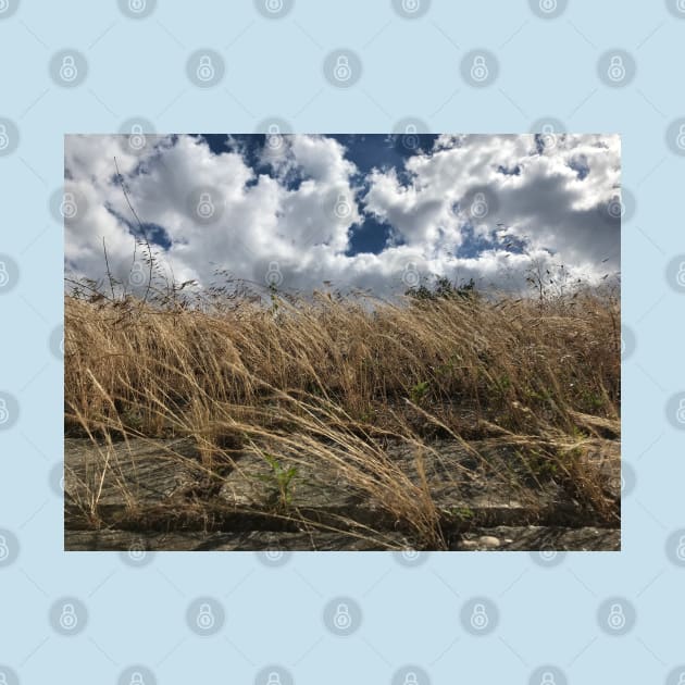 Believe, hope and be happy. Picturesque cumulus cloud scenery with windy bush plants by Khala