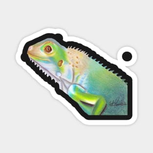 Green Iguana :: Reptiles and Amphibians Magnet