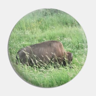 Bison In the Park Pin