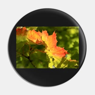 Autumn Maple Leaf Pin