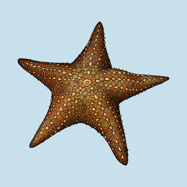 Starfish by Akman