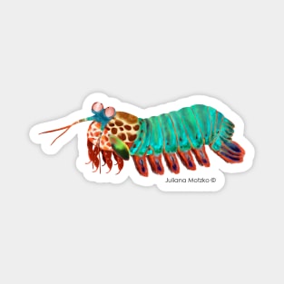 Mantis Shrimp Magnet